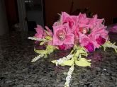 Buque de rosas e a cor rosa